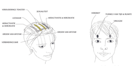 Access Bars is een hoofdmassage